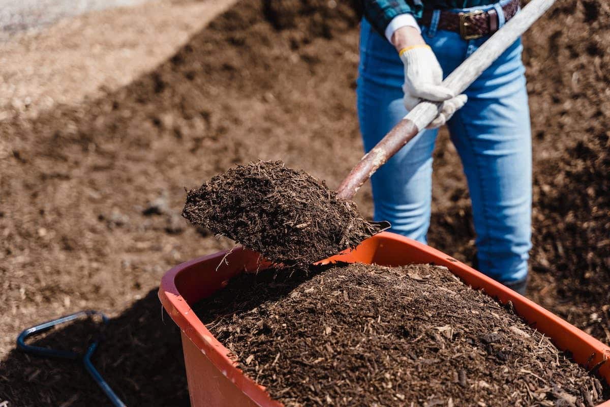 potager  fertilisant