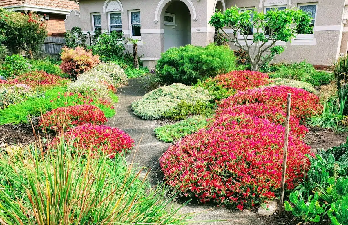 aménagement jardin