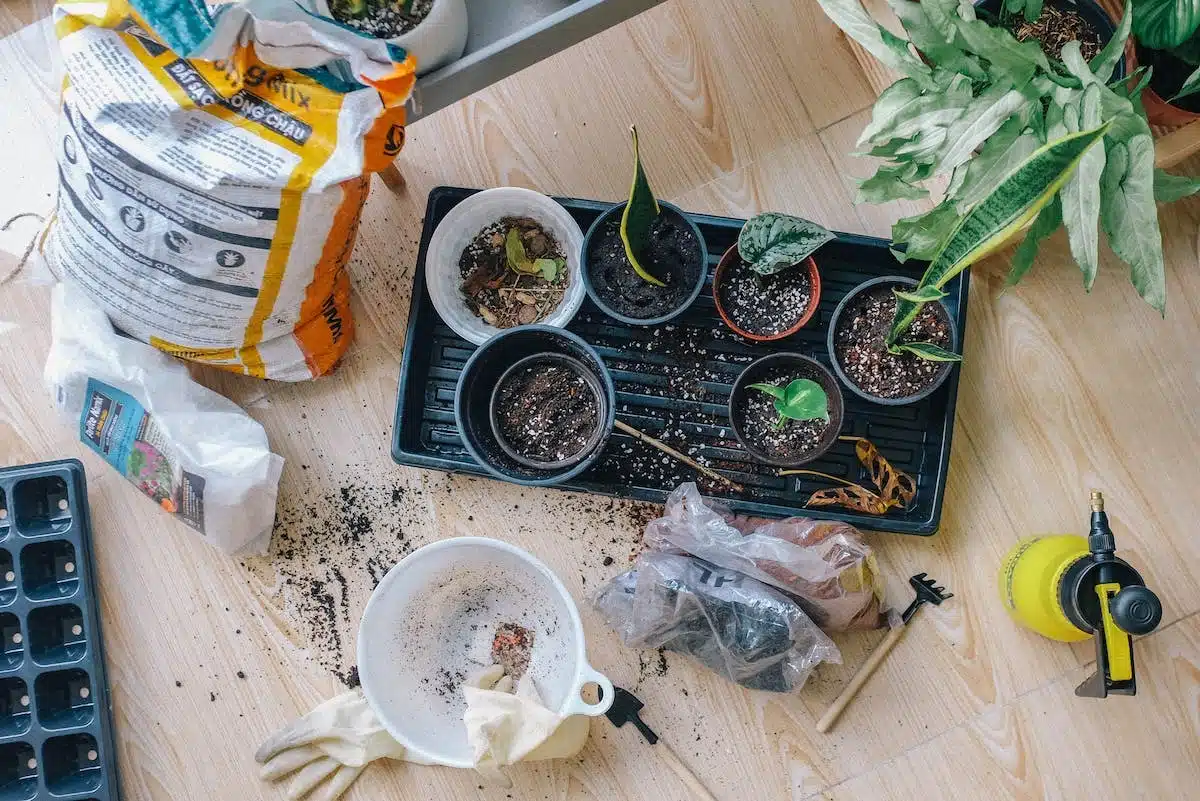 potager  pièges