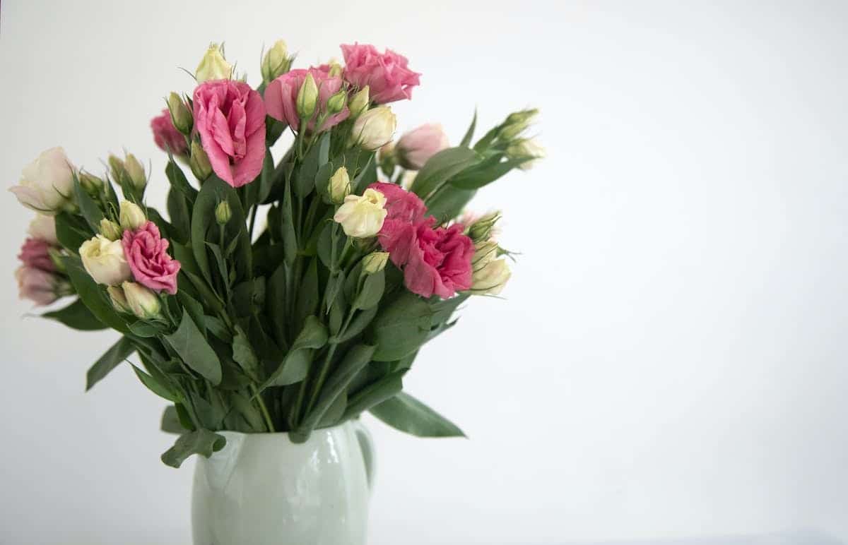 fleurs  vase