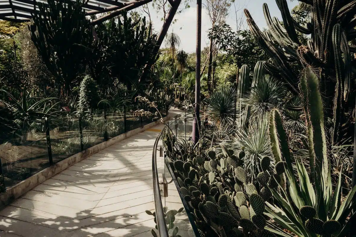 jardin sec
