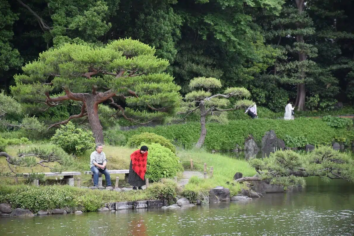 bassin jardin