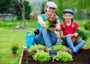 Réussir son potager en 5 étapes essentielles