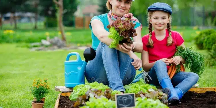 Réussir son potager en 5 étapes essentielles