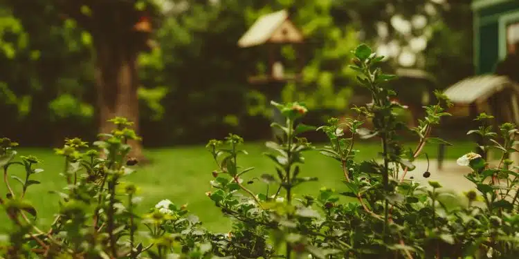 Les meilleures décorations de bordure de jardin pour le printemps