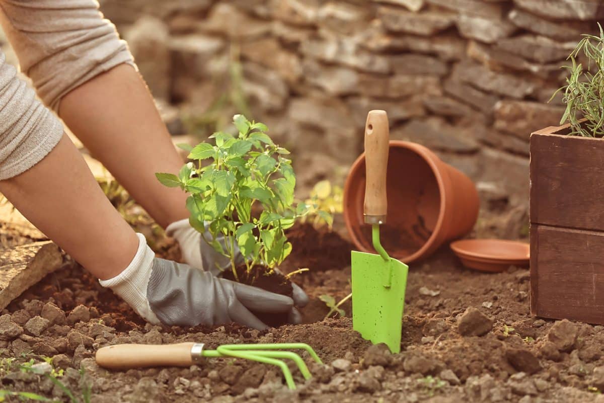outils indispensables pour le jardinage